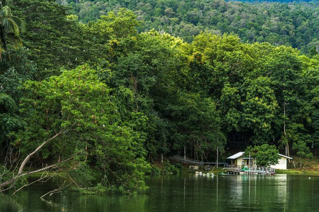 Landscape lake views at Ang Kaew Chiang Mai University in nature forest Mountain views spring cloudy sky background with white cloud