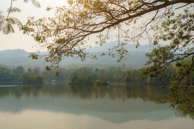 Landscape lake views at Ang Kaew Chiang Mai University in the pollution fog in nature forest Mountain dust air pollution at 2.5 or Small particle PM 2.5 microns background with white cloud in Thailand