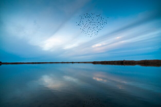 Landscape of a lake with birds and their reflection at dusk