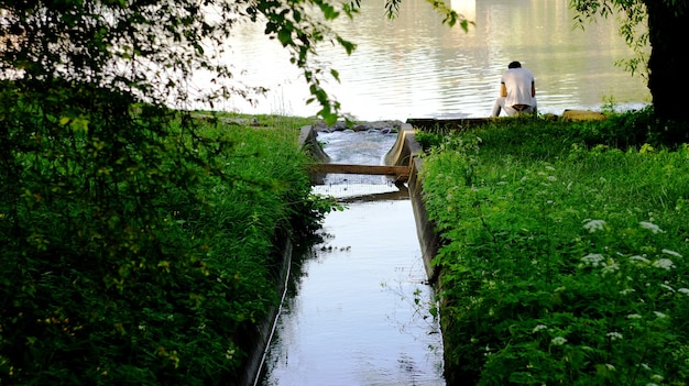 湖の風景