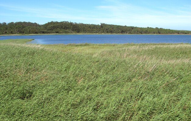 Photo landscape of a lake