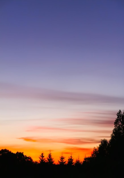 Landscape in Latvia Scenic nature view in sunset light Summertime in the countryside