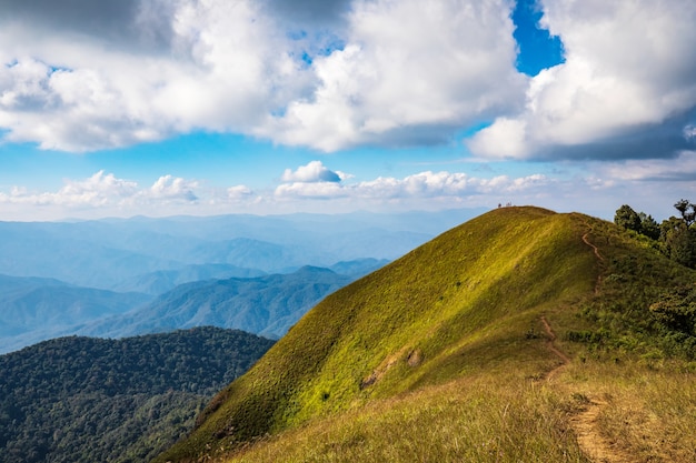 Ландшафт луга на высокой горе в Doi понедельнике Chong, Chiangmai, Таиланде.