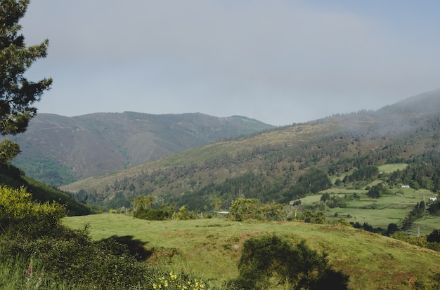 Landscape of meadows and hills.