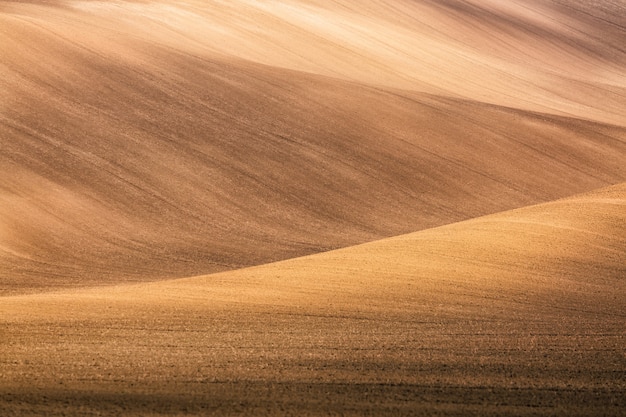 Paesaggio dei campi della moravia in moravia, repubblica ceca