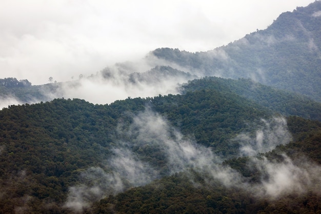 Landscape of Morning Mist with Mountain Layer at north of Thailand