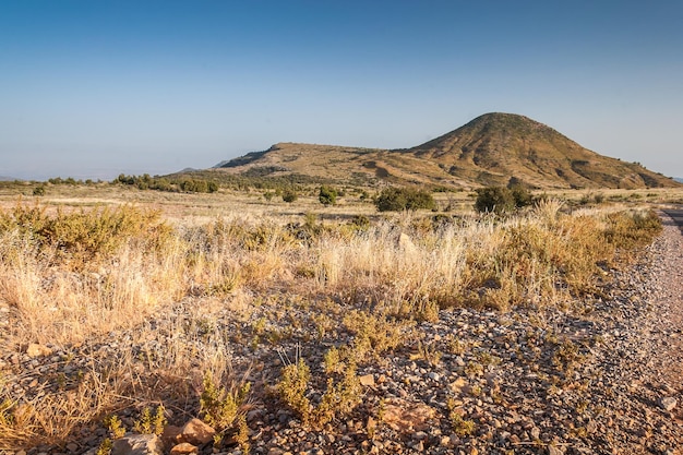 Landscape of Morocco at summer Atlas mountains