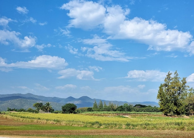 Il paesaggio della montagna sulla nuvola sullo sfondo del cielo blu