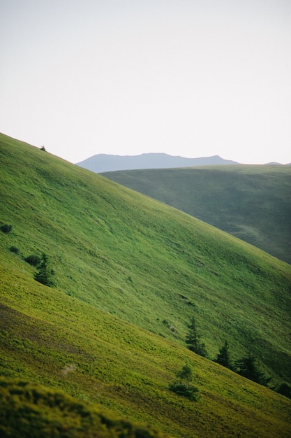 Landscape mountain nature at sunset