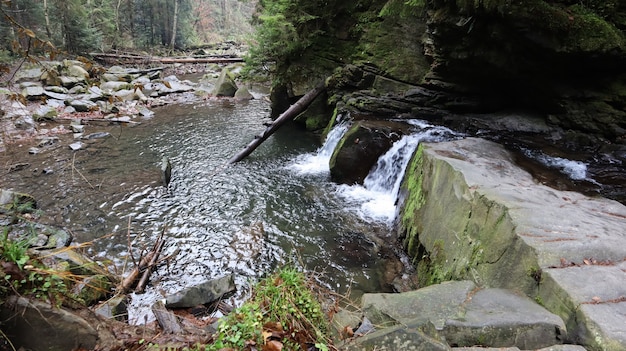 Landscape of a mountain river in the forest in early autumn and\
late summer. water in a natural stream. beautiful and relaxing\
forest with a river. river deep in mountain forest. nature\
composition.