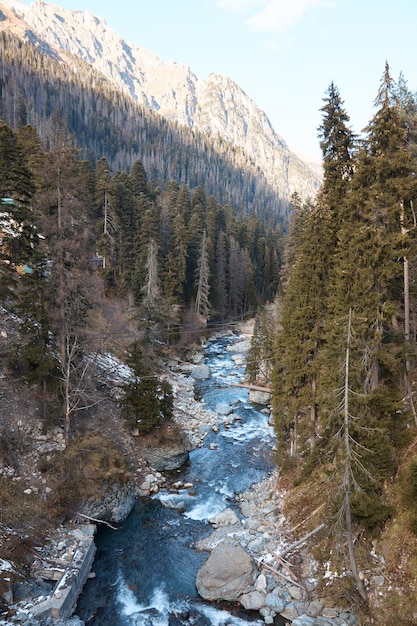 Пейзаж горной реки и водопада, бурная вода, бьющаяся о скалы, лес и природу в горах