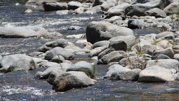 landscape of mountain stream in summer