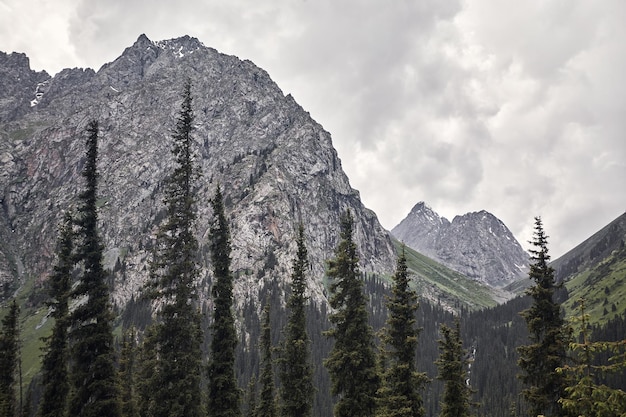 Landscape of mountain valley