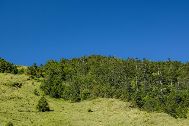 Ландшафтный горный вид на Хехуаншань в национальном парке Тароко на Тайване