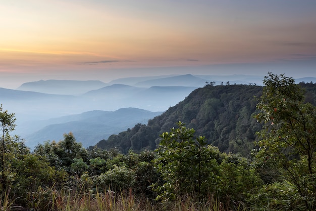 Landscape Mountain view Sunrise tre with the sky.