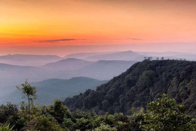 Landscape Mountain view Sunrise tree with the sky. Mountain at sunrise in the morning. Fog and green trees The peak Phu Rua National Park in Loei.