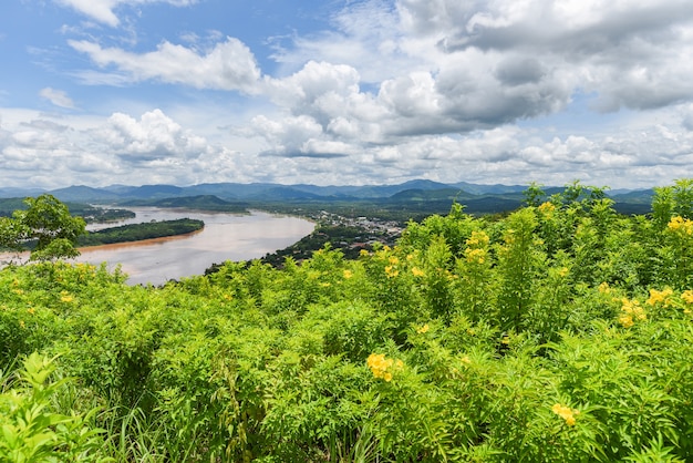 Landscape of a mountain with trees and river