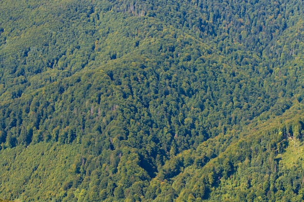 風景山岳地帯の緑の斜面