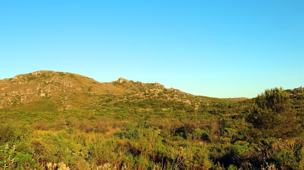 Landscape Mountains of Alicante, green bushes, grass, sunset, blue sky, May, Spain