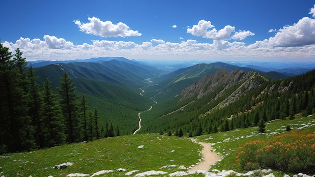 Landscape of mountains forest and sky with clouds