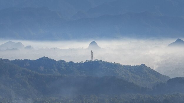 朝の山の風景