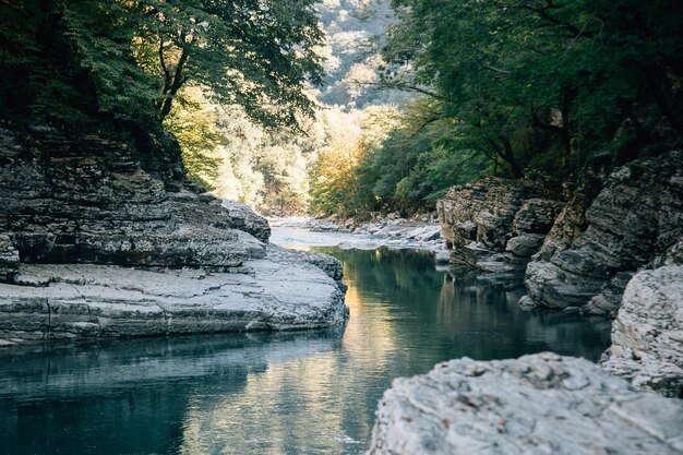 산 속의 풍경 아침의 산 야생 동물 산 풍경