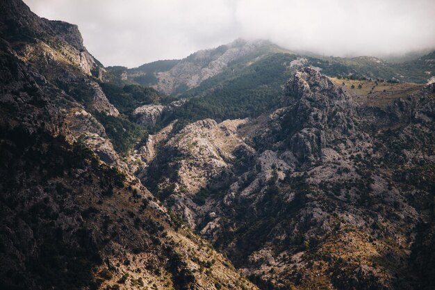 landscape in the mountains mountains in the morning wildlife mountain landscape