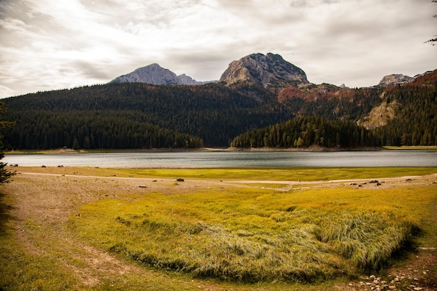 landscape in the mountains mountains in the morning wildlife mountain landscape