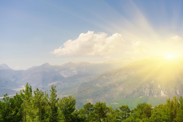 Landscape Mountains and trees at sunrise