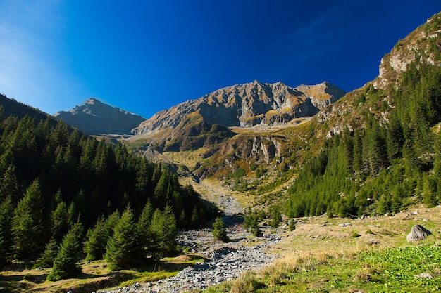 Paesaggio in montagna con il cielo blu scuro