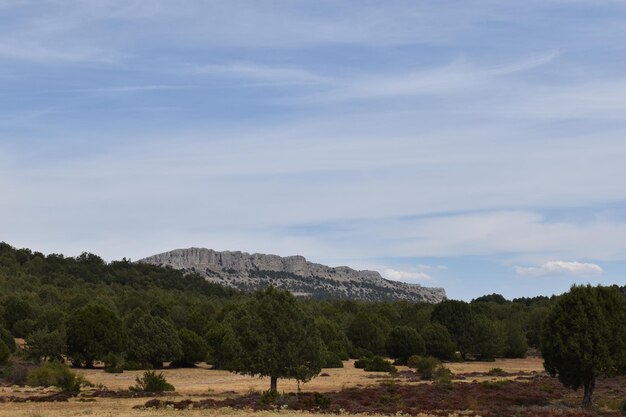 Foto paesaggio di montagne nel deserto