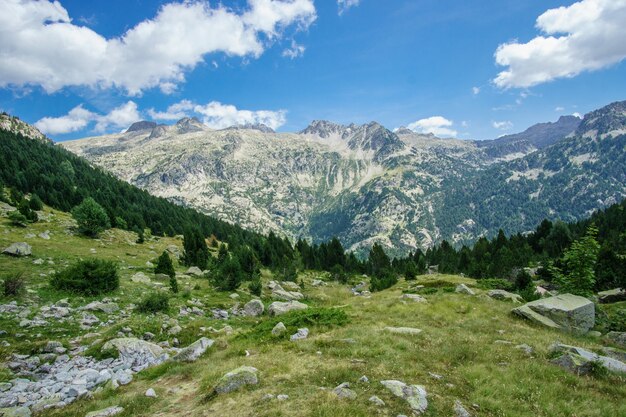 Paesaggio vista montagna naturale pirenei in estate, aragona, spagna