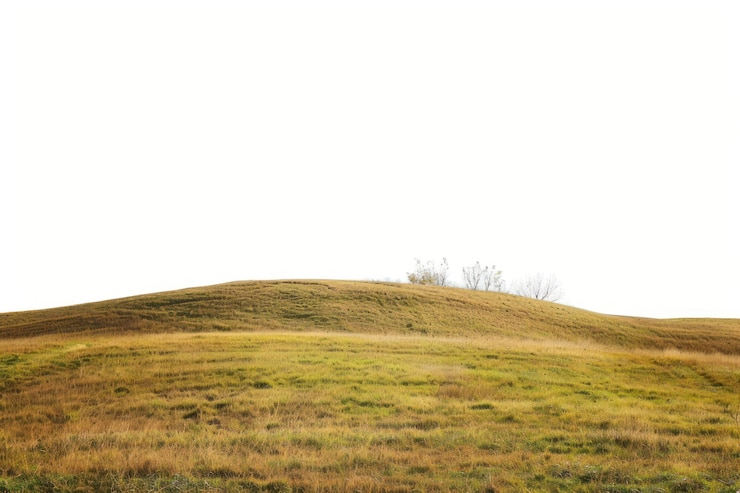 Photo landscape nature hill grassland