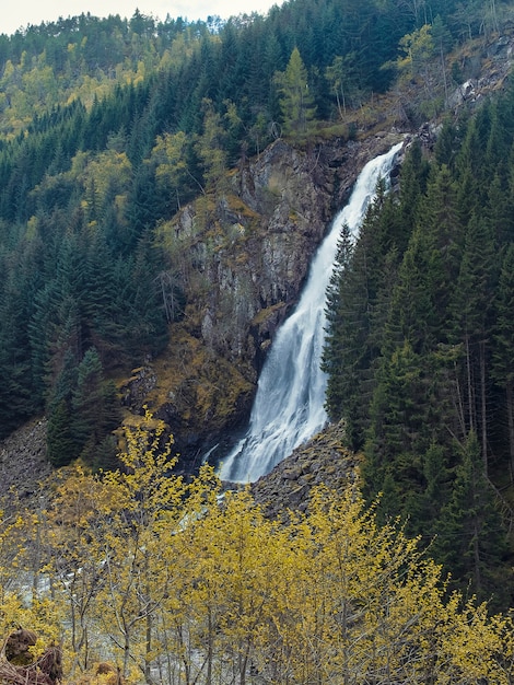 Landscape, Nature of Norway, high waterfall Espelandsfossen  in the autumn forest.