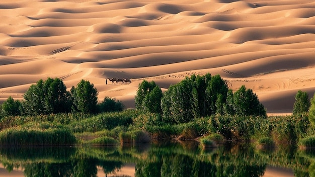 Foto paesaggio natura nel mondo