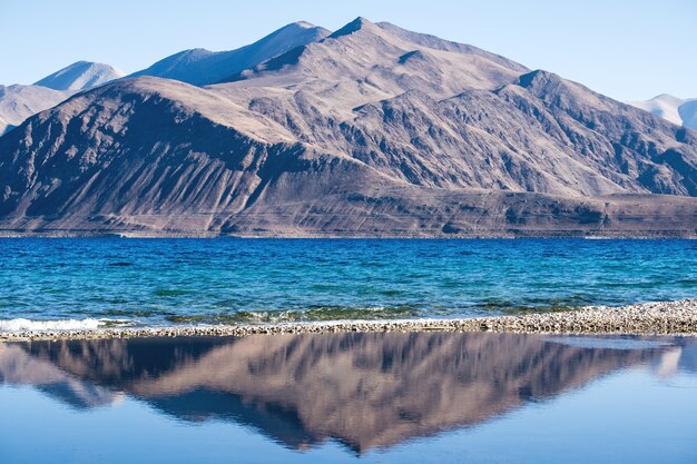 自然の風景