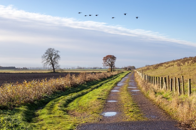 Landscape near Ely