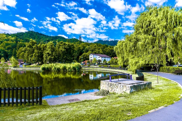 Пейзаж озера Ноуа и растительность в летний сезон в городе Брашов, Румыния