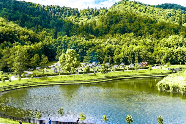 ルーマニア、ブラショフの町の夏の Noua 湖と植生の風景