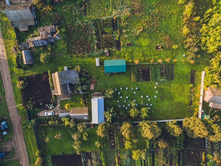 Фотография пейзаж овсяного поля и деревни