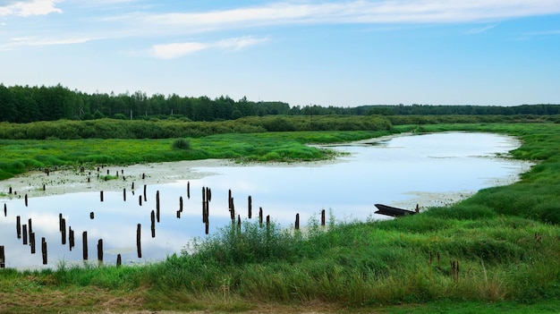 写真 海岸にボートがあり、木々が生い茂る小さな川の風景。