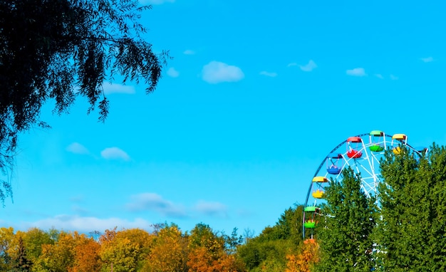 写真 青い空を背景に木のてっぺんの上に観覧車のてっぺんが見える遊園地の風景