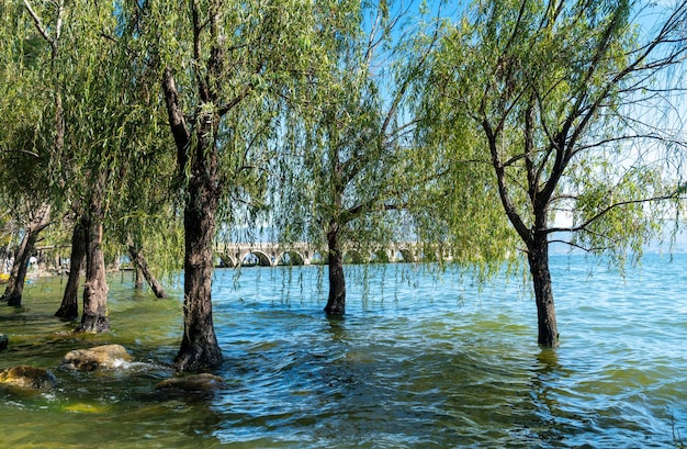 Фото Пейзаж озера эрхай, расположенного в дали, юньнань, китай