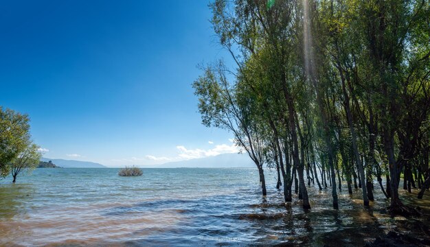 Фото Пейзаж озера эрхай, расположенного в дали, юньнань, китай