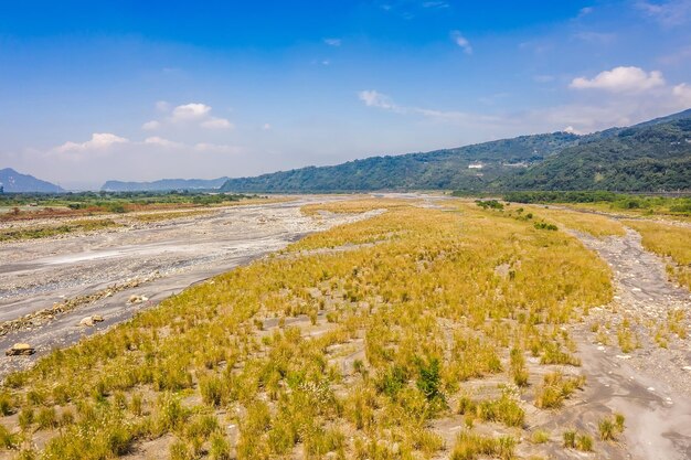 写真 山と一緒に金色のミスカンタスの風景