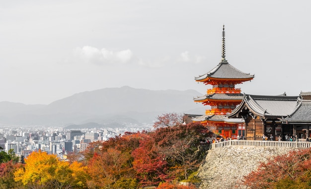 写真 秋の京都市日本の風景