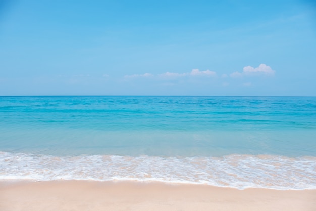 写真 夏の熱帯のビーチの風景です。