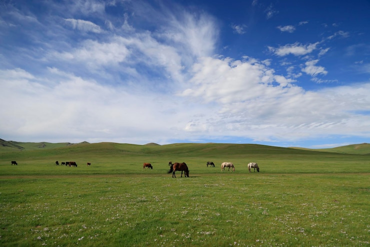 Photo landscape of the orkhon valley in mongolia