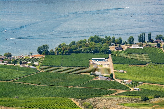 Photo landscape overview with farmers land at okanagan lake on summer day