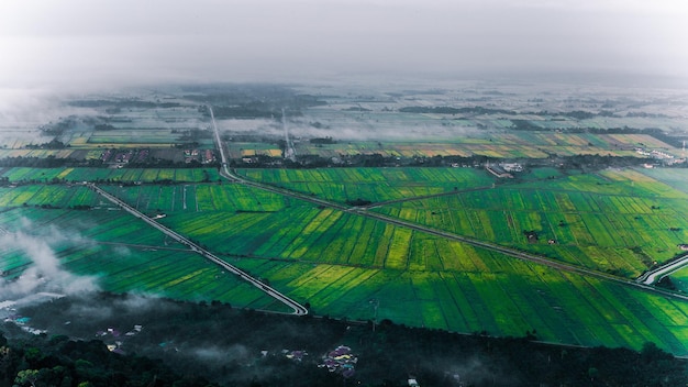 緑の野原の真ん中にある農場の風景画。